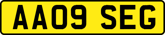 AA09SEG