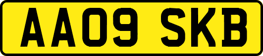 AA09SKB