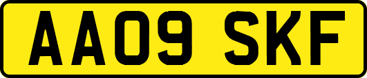 AA09SKF
