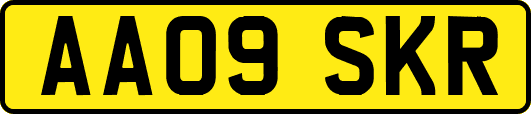 AA09SKR