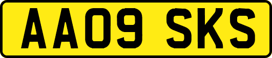 AA09SKS