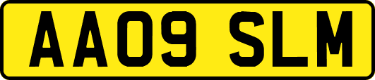 AA09SLM