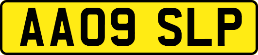 AA09SLP