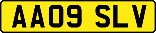 AA09SLV
