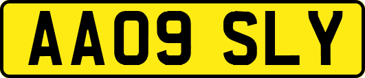 AA09SLY