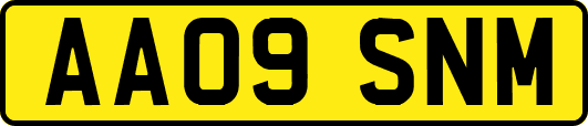 AA09SNM