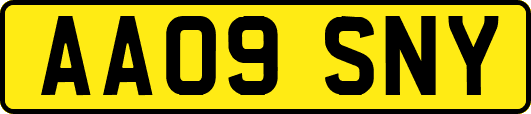 AA09SNY