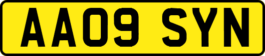 AA09SYN