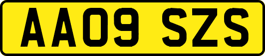 AA09SZS