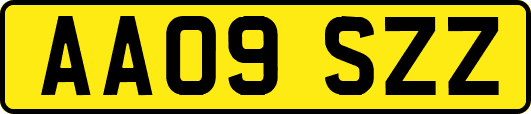 AA09SZZ