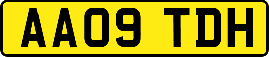 AA09TDH