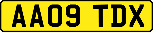 AA09TDX