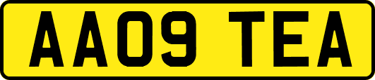 AA09TEA
