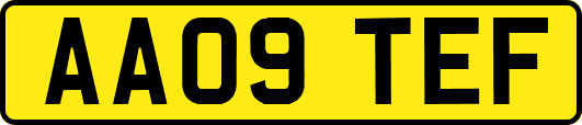 AA09TEF