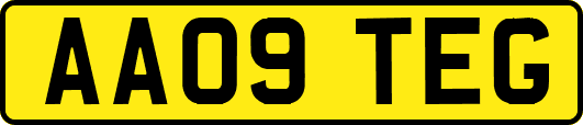 AA09TEG