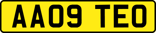 AA09TEO
