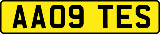 AA09TES