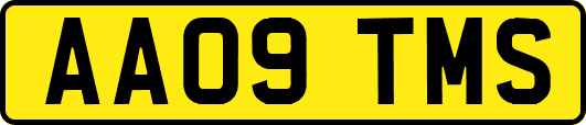 AA09TMS