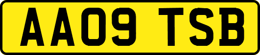 AA09TSB