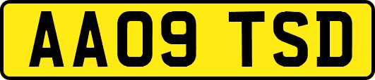 AA09TSD