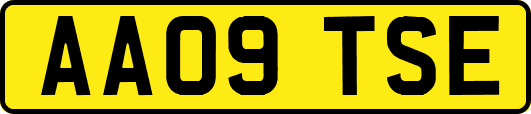 AA09TSE