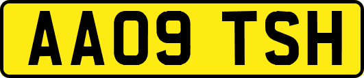 AA09TSH