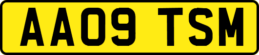 AA09TSM