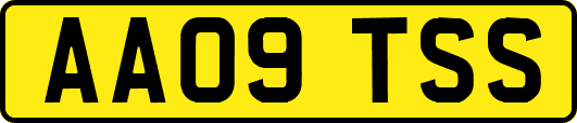 AA09TSS