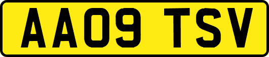 AA09TSV