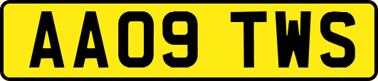 AA09TWS