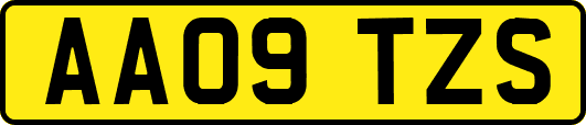 AA09TZS