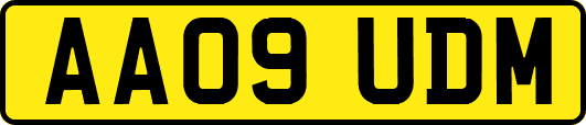 AA09UDM