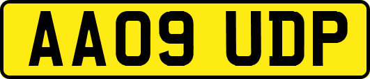 AA09UDP