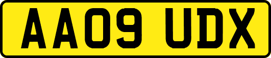 AA09UDX