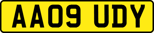 AA09UDY