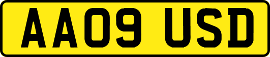 AA09USD