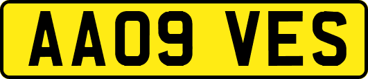 AA09VES