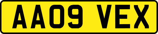 AA09VEX