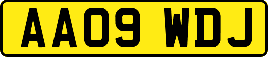 AA09WDJ
