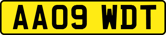 AA09WDT