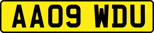AA09WDU