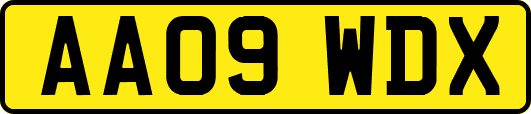 AA09WDX