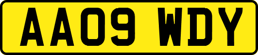 AA09WDY