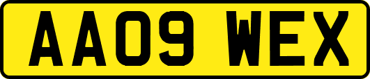 AA09WEX