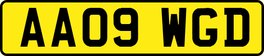 AA09WGD