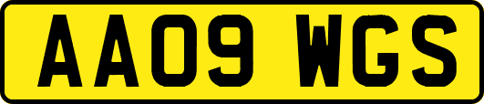 AA09WGS