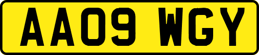 AA09WGY