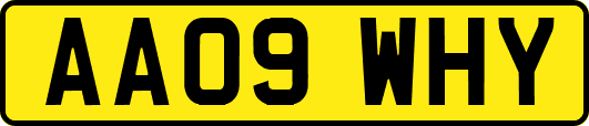 AA09WHY