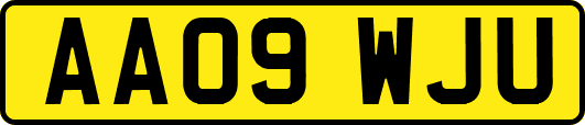 AA09WJU