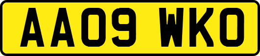AA09WKO